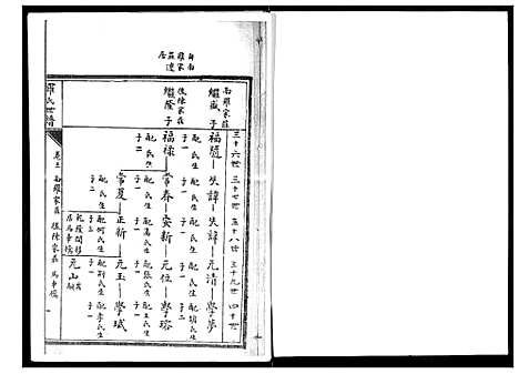 [罗]罗氏世谱 (山东) 罗氏世谱_三.pdf