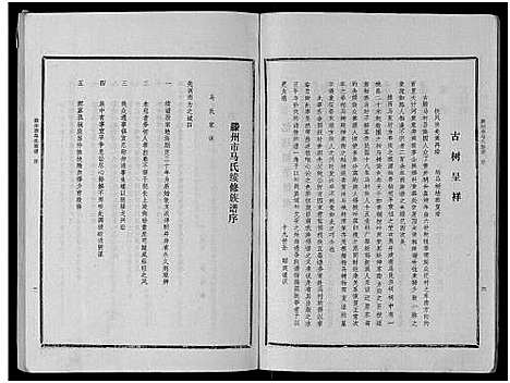 [马]古滕马氏续修族谱 (山东) 古滕马氏续修家谱_一.pdf