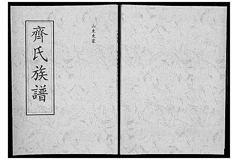 [齐]齐氏族谱_不分卷 (山东) 齐氏家谱_二.pdf