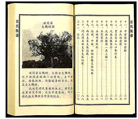 [石]石氏族谱 (山东) 石氏家谱.pdf