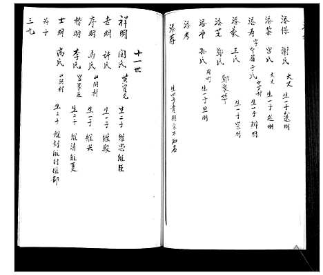 [宋]宋氏族谱_不分卷 (山东) 宋氏家谱.pdf