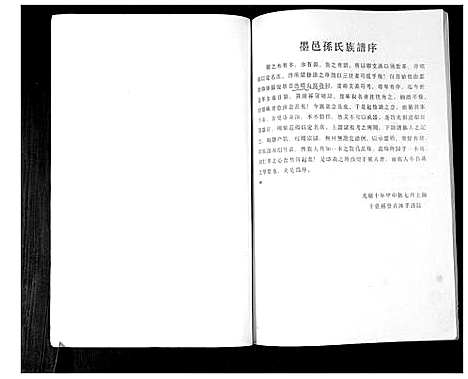 [孙]孙氏族谱 (山东) 孙氏家谱.pdf