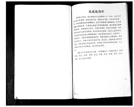 [孙]孙氏族谱 (山东) 孙氏家谱.pdf