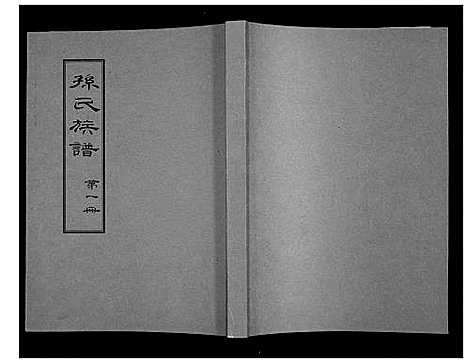 [孙]孙氏族谱 (山东) 孙氏家谱_一.pdf