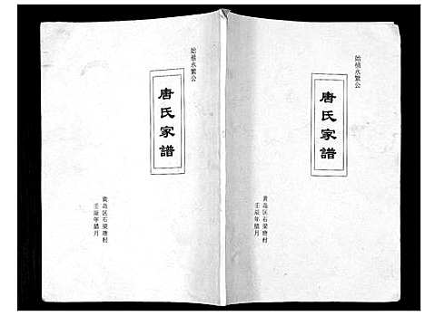 [唐]唐氏家谱 (山东) 唐氏家谱.pdf