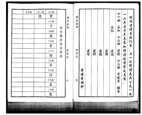 [唐]唐氏族谱 (山东) 唐氏家谱.pdf