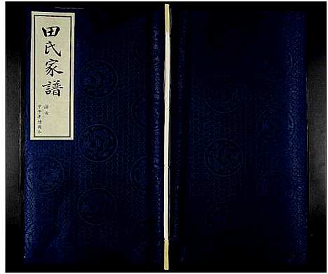 [田]田氏家谱_不分卷 (山东) 田氏家谱_一.pdf