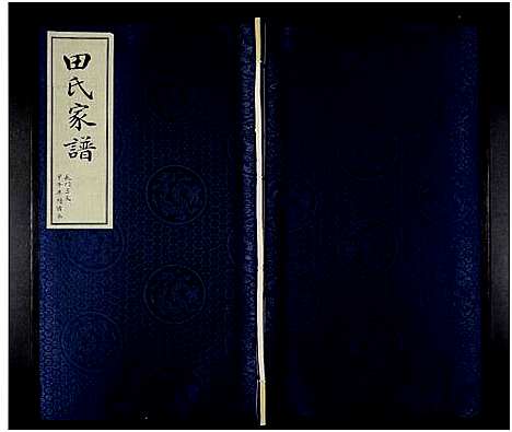 [田]田氏家谱_不分卷 (山东) 田氏家谱_四.pdf