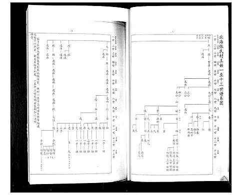 [王]北海张氏村王氏 (山东) 北海张氏村王氏.pdf