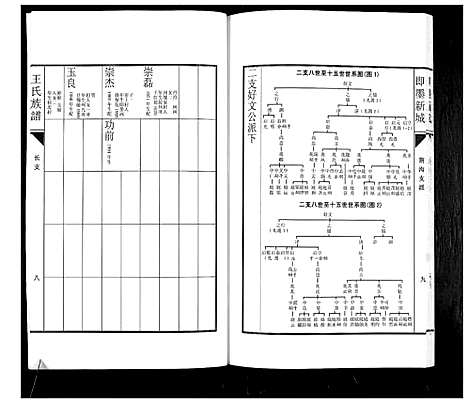 [王]即墨新城王氏族谱 (山东) 即墨新城王氏家谱_二.pdf