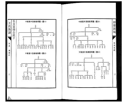 [王]即墨新城王氏族谱 (山东) 即墨新城王氏家谱_四.pdf