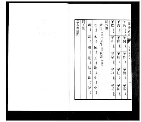 [王]即墨新城王氏族谱 (山东) 即墨新城王氏家谱_五.pdf