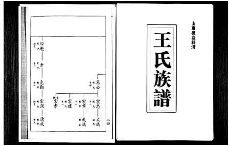 [王]山东桓台斜沟王氏族谱_6卷-Shan Dong Huan Tai Xie Guo Wang Shi (山东) 山东桓台斜沟王氏家谱_一.pdf