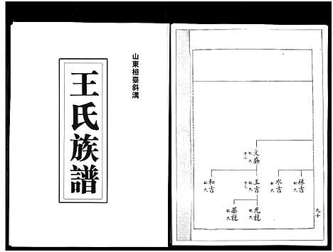 [王]山东桓台斜沟王氏族谱_6卷-Shan Dong Huan Tai Xie Guo Wang Shi (山东) 山东桓台斜沟王氏家谱_二.pdf