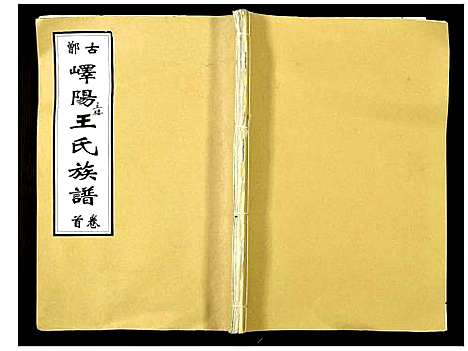 [王]峄阳王楼王氏族谱 (山东) 峄阳王楼王氏家谱_一.pdf