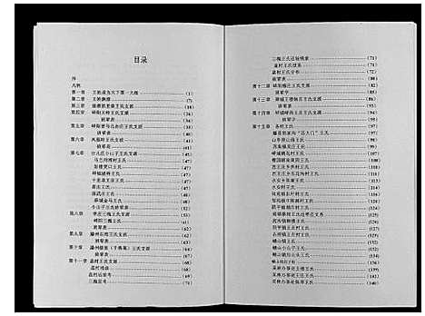 [王]枣庄王姓大典_不分卷 (山东) 枣庄王姓大典.pdf