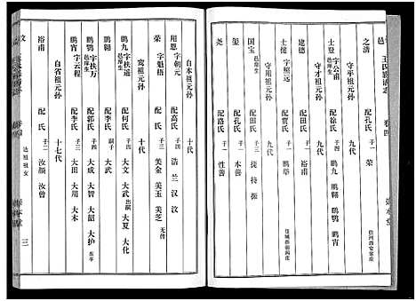 [王]汶邑王氏族谱志_17卷-Wen Yi Wang Shi Zhi (山东) 汶邑王氏家谱_四.pdf