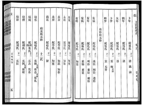 [王]汶邑王氏族谱志_17卷-Wen Yi Wang Shi Zhi (山东) 汶邑王氏家谱_五.pdf