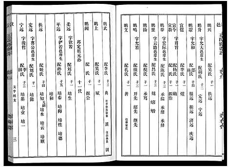 [王]汶邑王氏族谱志_17卷-Wen Yi Wang Shi Zhi (山东) 汶邑王氏家谱_九.pdf