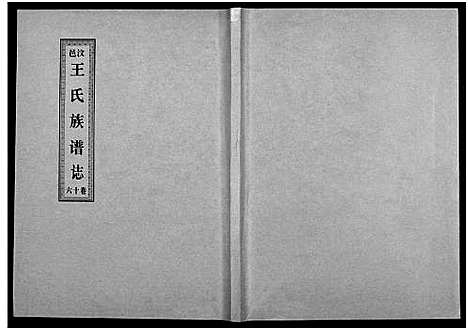 [王]汶邑王氏族谱志_17卷-Wen Yi Wang Shi Zhi (山东) 汶邑王氏家谱_十六.pdf