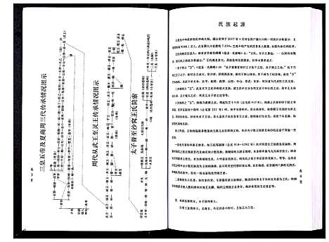 [王]沙窝王氏宗谱_10卷 (山东) 沙窝王氏家谱.pdf