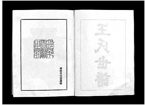 [王]王氏世谱_不分卷-新城王氏世谱_Wang Shi Shi Pu (山东) 王氏世谱_一.pdf