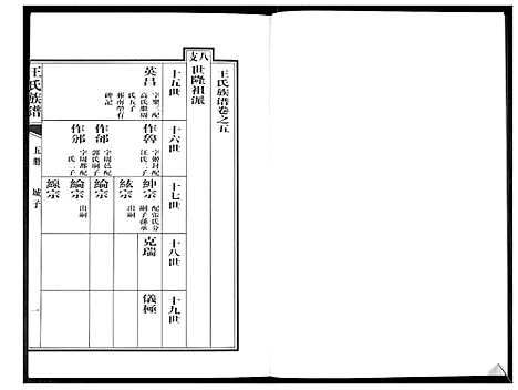 [王]王氏族谱 (山东) 王氏家谱_五.pdf