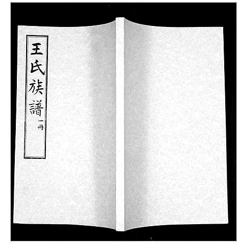 [王]王氏族谱 (山东) 王氏家谱_一.pdf