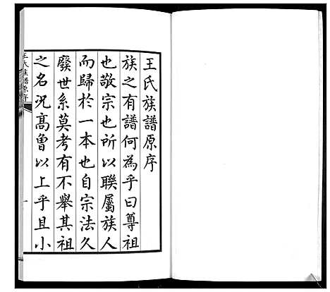 [王]王氏族谱 (山东) 王氏家谱_一.pdf