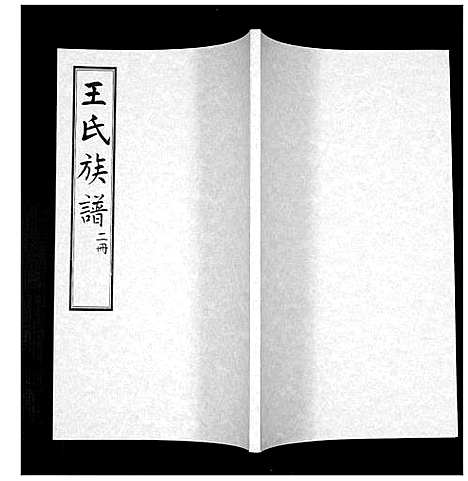 [王]王氏族谱 (山东) 王氏家谱_二.pdf