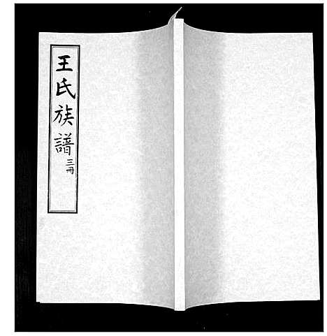 [王]王氏族谱 (山东) 王氏家谱_三.pdf