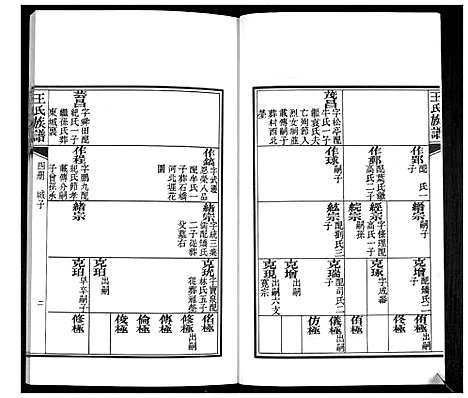 [王]王氏族谱 (山东) 王氏家谱_四.pdf