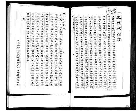 [王]王氏族谱 (山东) 王氏家谱.pdf