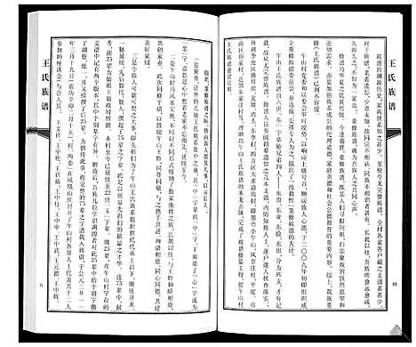 [王]王氏族谱 (山东) 王氏家谱_一.pdf