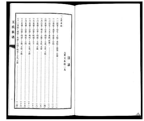 [王]王氏族谱 (山东) 王氏家谱_二.pdf