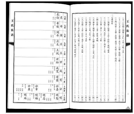 [王]王氏族谱 (山东) 王氏家谱_二.pdf