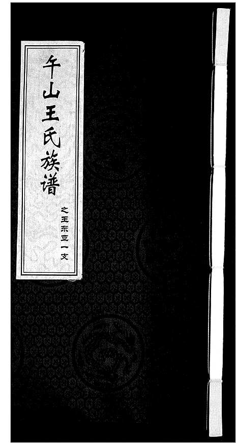 [王]王氏族谱 (山东) 王氏家谱_三.pdf