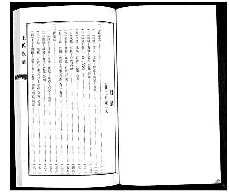 [王]王氏族谱 (山东) 王氏家谱_三.pdf