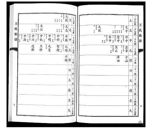 [王]王氏族谱 (山东) 王氏家谱_三.pdf