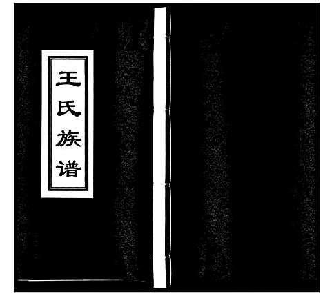 [王]王氏族谱 (山东) 王氏家谱_一.pdf