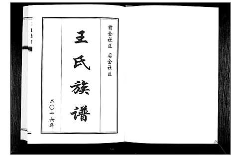 [王]王氏族谱 (山东) 王氏家谱_一.pdf