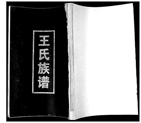 [王]王氏族谱 (山东) 王氏家谱_一.pdf