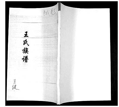 [王]王氏族谱 (山东) 王氏家谱_一.pdf