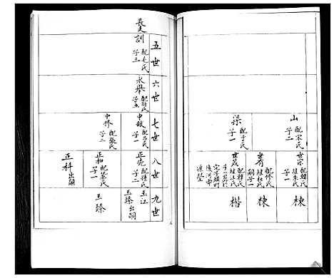 [王]王氏族谱 (山东) 王氏家谱_一.pdf