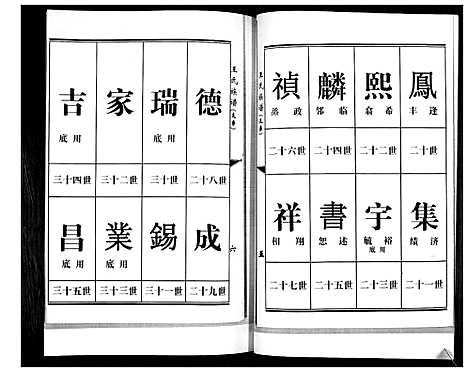 [王]王氏族谱 (山东) 王氏家谱_一.pdf