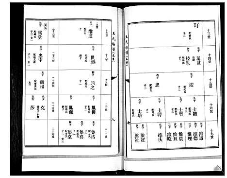 [王]王氏族谱 (山东) 王氏家谱_一.pdf