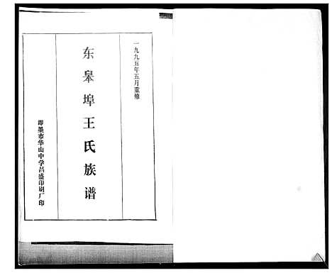 [王]王氏族谱 (山东) 王氏家谱_一.pdf