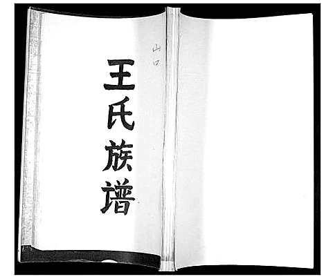 [王]王氏族谱 (山东) 王氏家谱_一.pdf