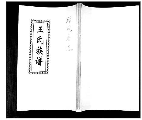 [王]王氏族谱 (山东) 王氏家谱_一.pdf