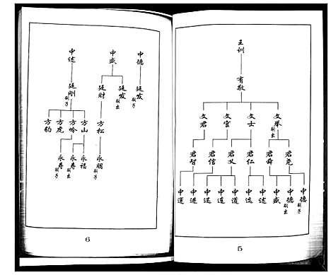 [王]王氏族谱 (山东) 王氏家谱_一.pdf